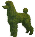 17 Inch Mossed Poodle Garden Topiary Frame