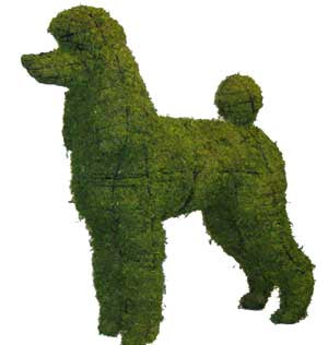 17 Inch Mossed Poodle Garden Topiary Frame