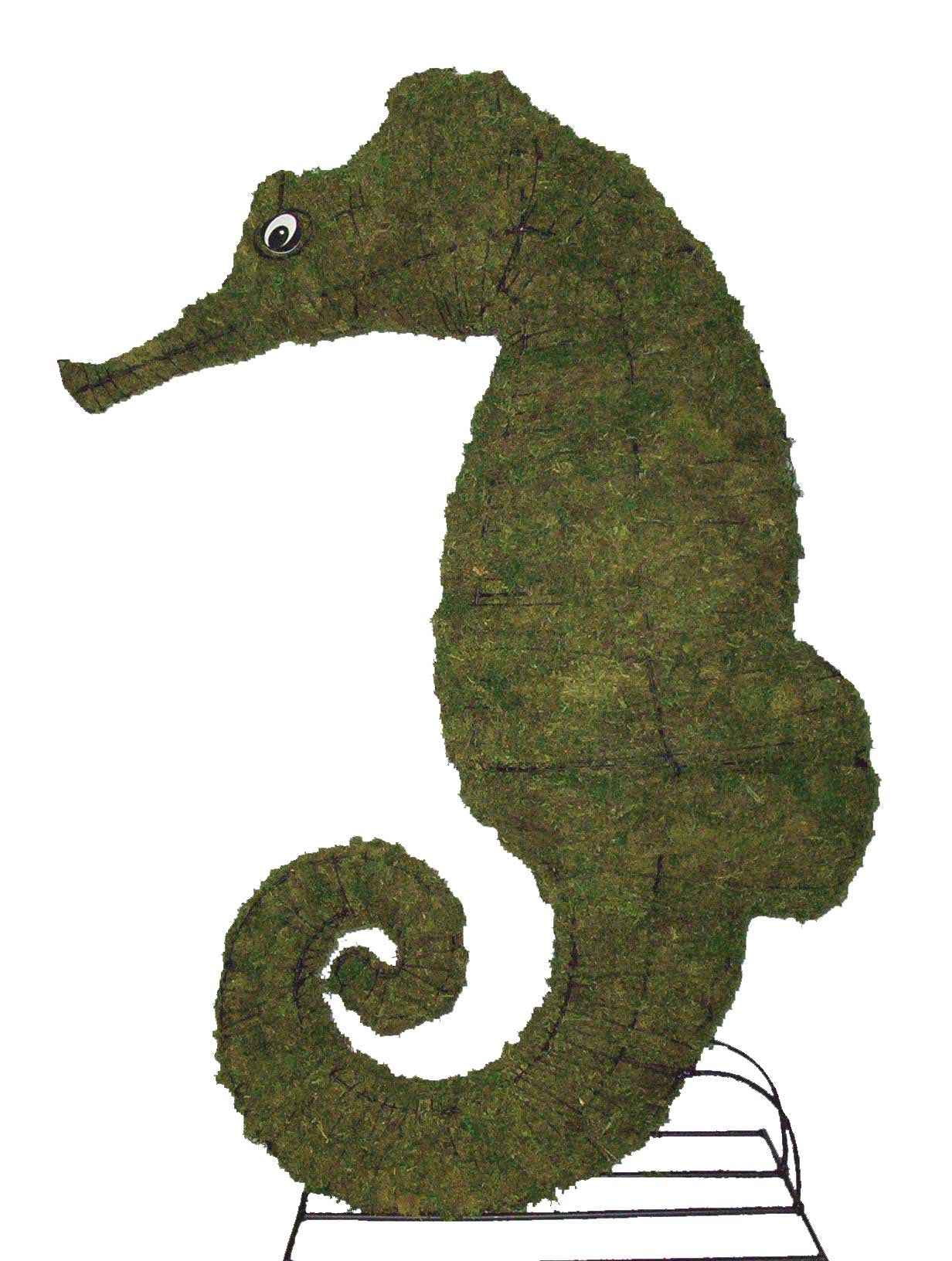 24 Inch Mossed Seahorse Garden Topiary Frame