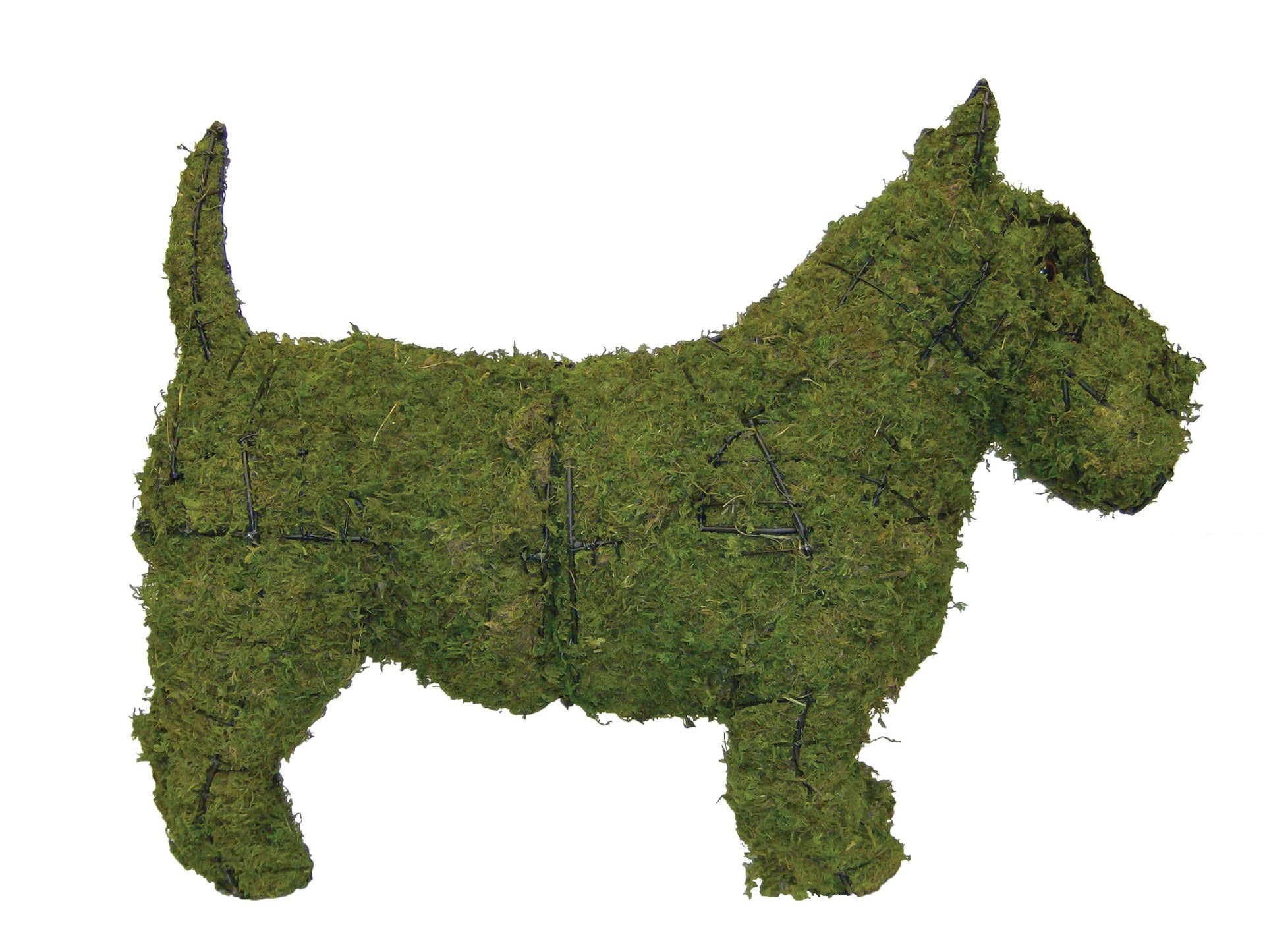 18 Inch Mossed Scottie Garden Topiary Frame