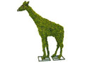 168 Inch Mossed Giraffe Garden Topiary Frame