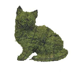 9 Inch Mossed Kitten Sitting Garden Topiary Frame