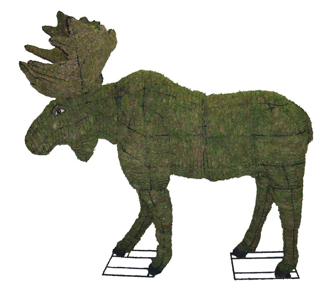 60 Inch Mossed Moose Garden Topiary Frame