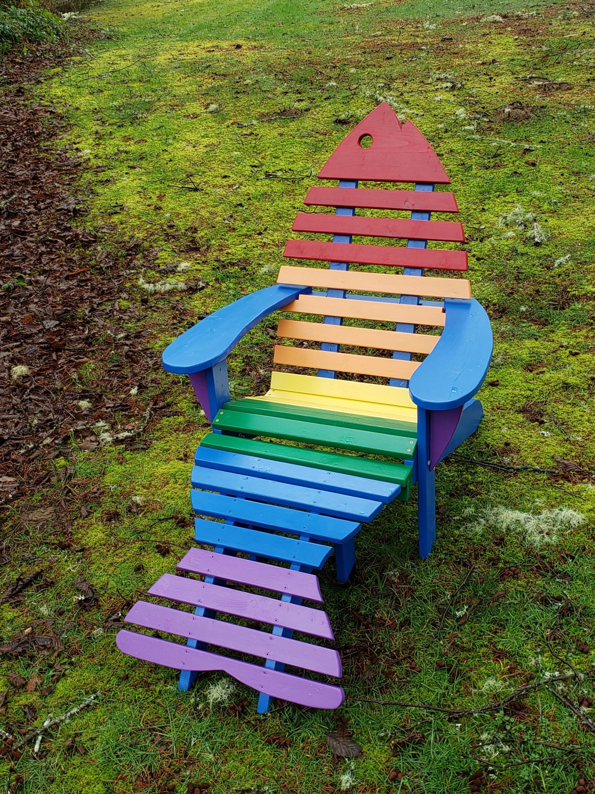 Rainbow Finish Fish Chair