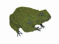 Frog 10 Inch Mossed Garden Topiary Frame