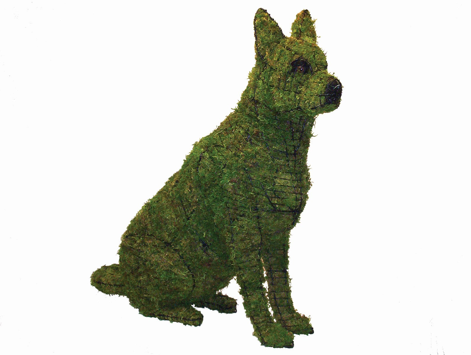 36 Inch Mossed German Shepherd Garden Topiary Frame