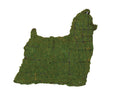 15 Inch Mossed Yorkie Garden Topiary Frame