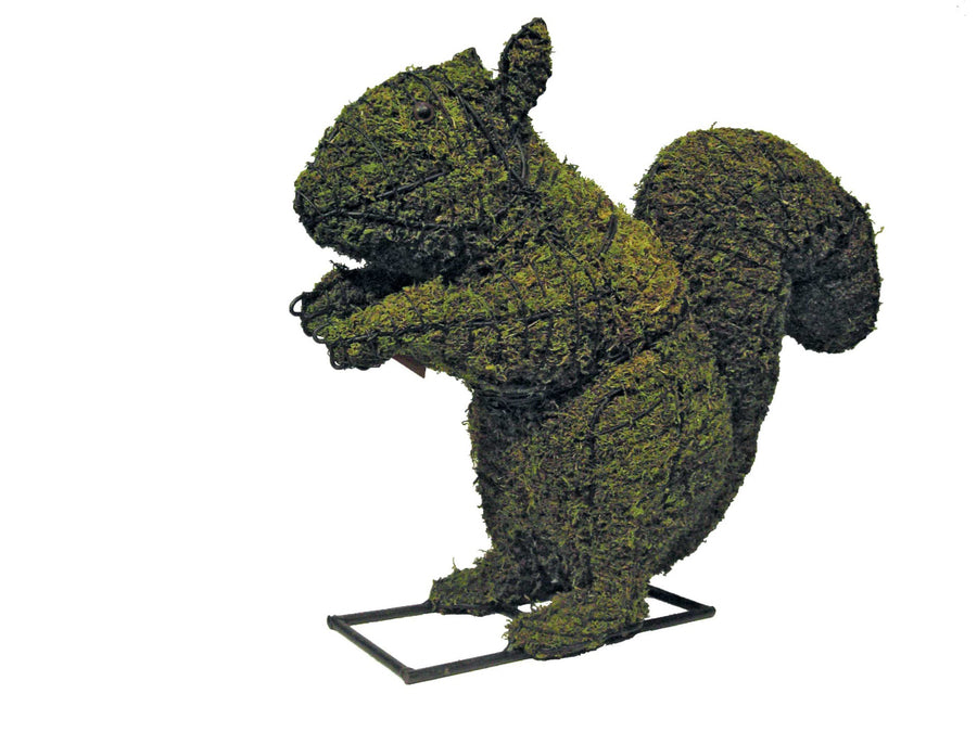 12 Inch Mossed Squirrel Garden Topiary Frame