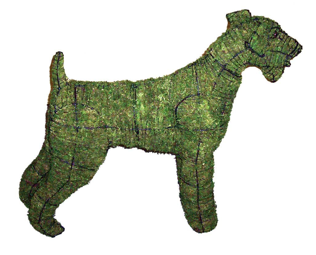 32 Inch Mossed Airedale Garden Topiary Frame
