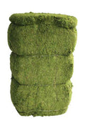 Evergreen Moss Bale (5.5 cu feet)