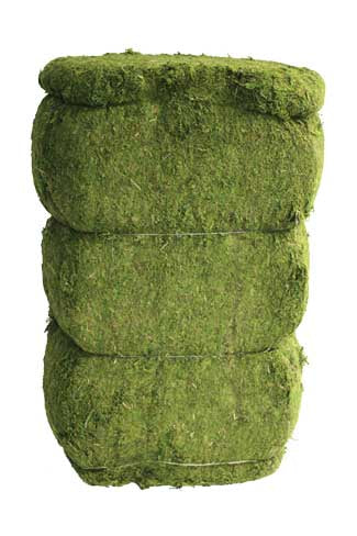 Evergreen Moss Bale (5.5 cu feet)