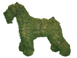18 Inch Mossed Schnauzer Garden Topiary Frame