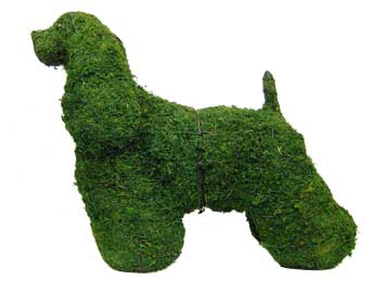 21 Inch Mossed Cocker Spaniel Garden Topiary Frame