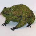 Frog 6 Inch Mossed Garden Topiary Frame