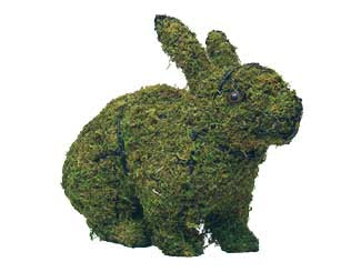 20 Inch Mossed Hopping Rabbit Garden Topiary Frame