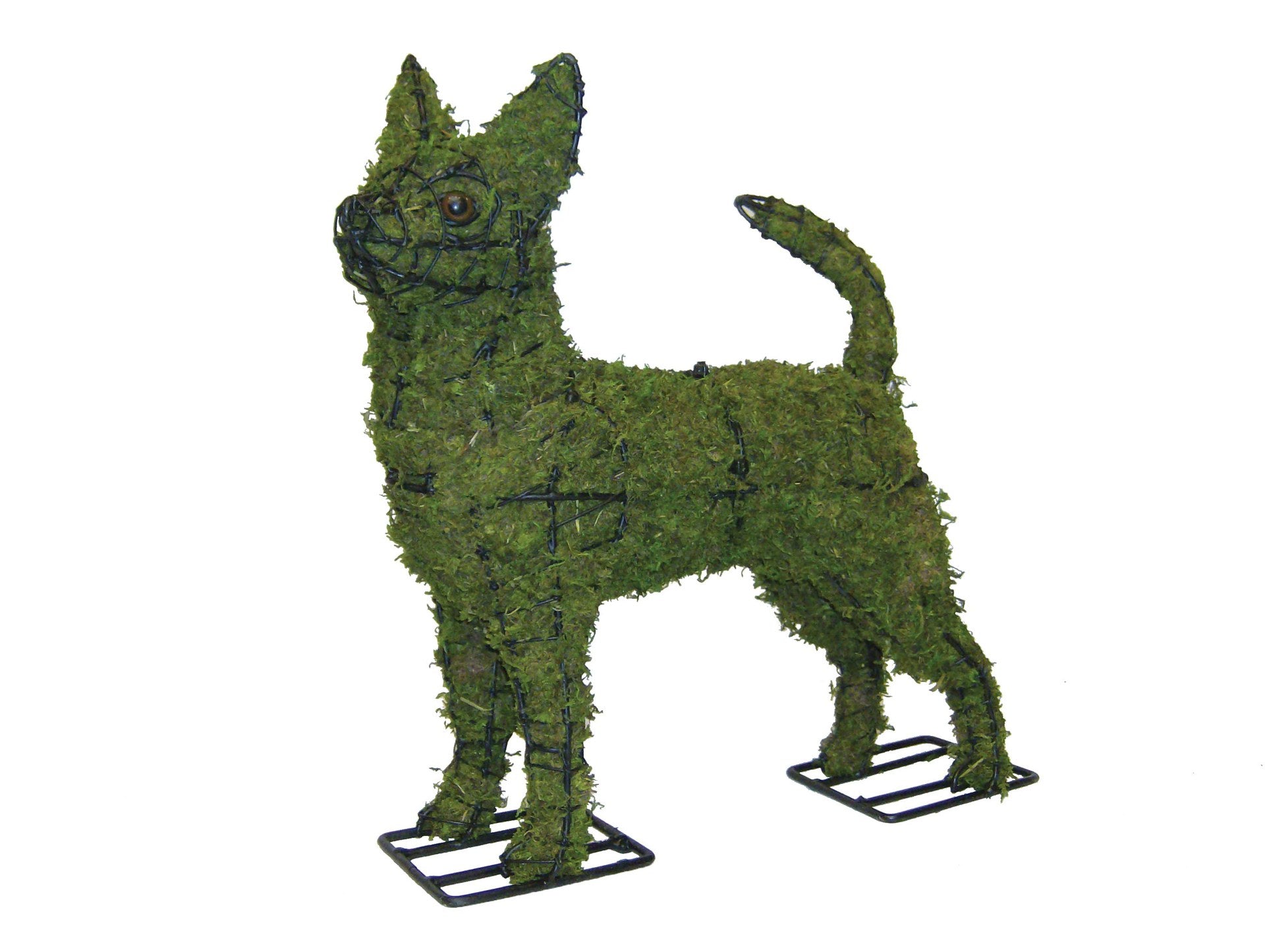 16 Inch Mossed Chihuahua Garden Topiary Frame