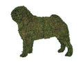 18 Inch Mossed Pug Garden Topiary Frame