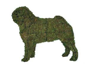 18 Inch Mossed Pug Garden Topiary Frame