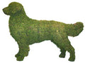 31 Inch Mossed Golden Retriever Garden Topiary Frame