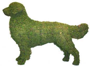 31 Inch Mossed Golden Retriever Garden Topiary Frame