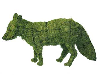 13 Inch Mossed Fox Garden Topiary Frame