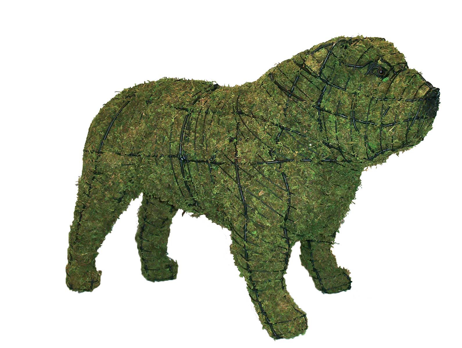 16 Inch Mossed Bulldog Garden Topiary Frame