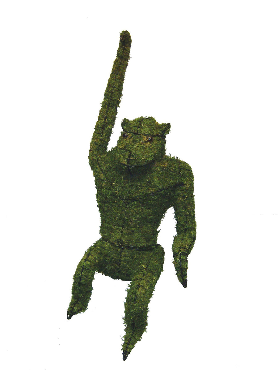 30 Inch Mossed Hanging Monkey Garden Topiary Frame
