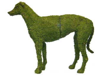37 Inch Mossed Greyhound Garden Topiary Frame