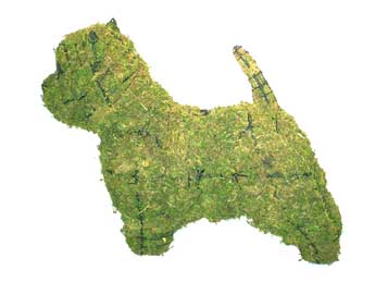 14 Inch Mossed Westie Garden Topiary Frame