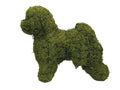 19 Inch Mossed Bichon Frise Garden Topiary Frame