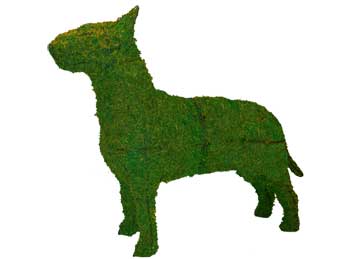 27 Inch Mossed Bull Terrier Garden Topiary Frame