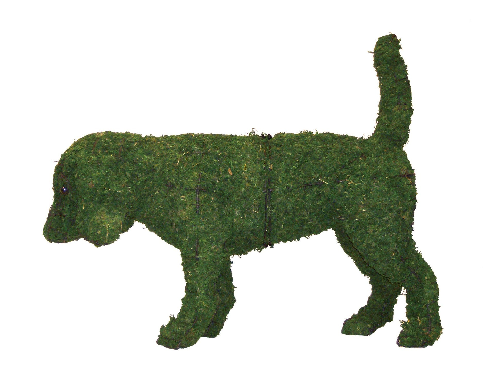 21 Inch Mossed Beagle Garden Topiary Frame