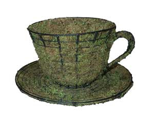 6 Inch Mossed Teacup and Saucer Garden Topiary Frame