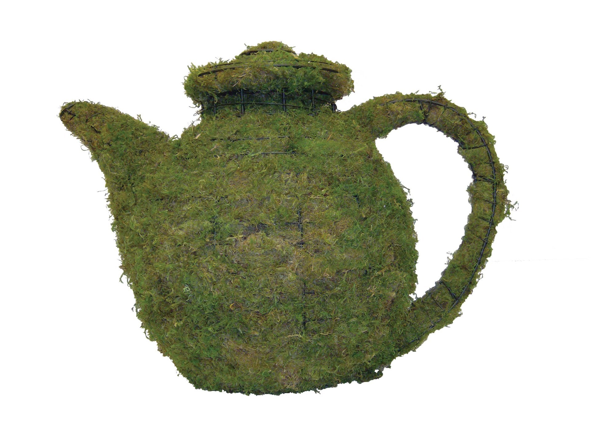 8 Inch Mossed Teapot Garden Topiary Frame