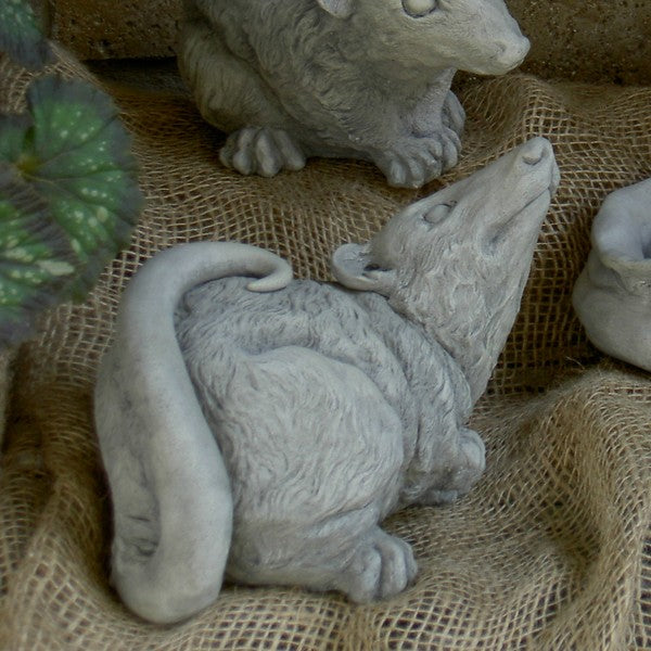 Natural Graywash Finish