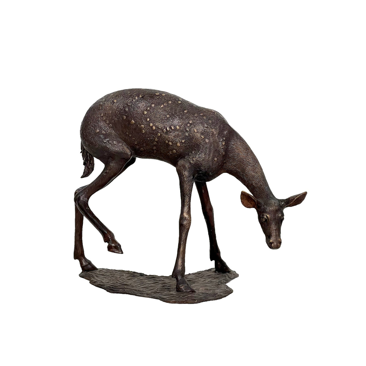 Fawn Grazing Bronze Sculpture – view 1