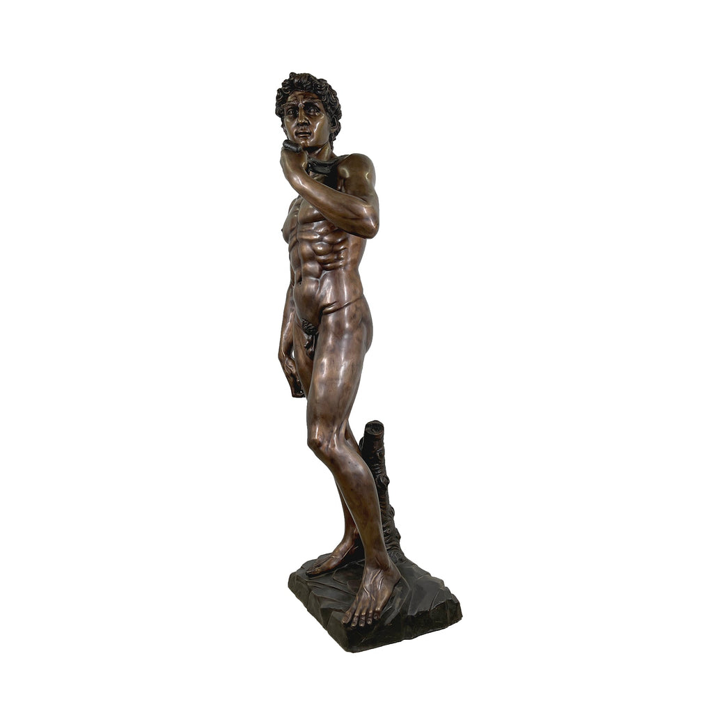 Life-size David Bronze Statue – view 5