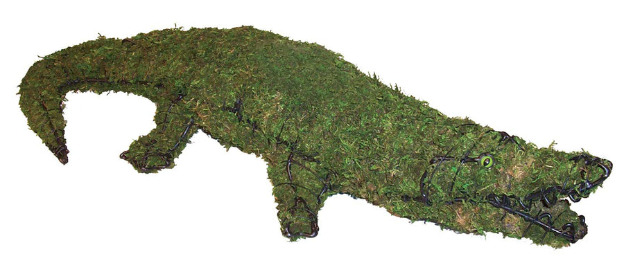 9 Inch Mossed Alligator Garden Topiary Frame