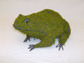 4 Inch Mossed Frog Garden Topiary Frame