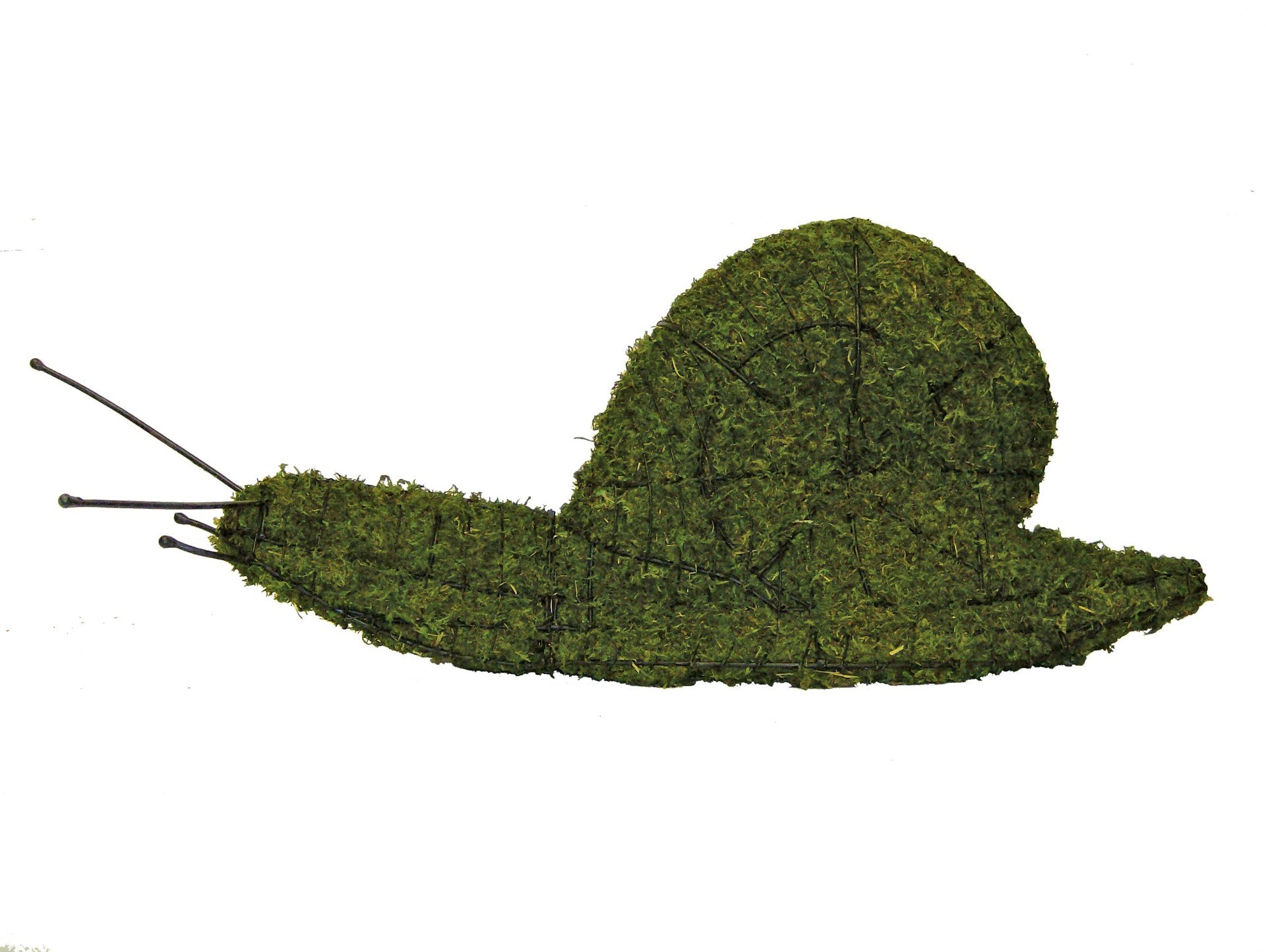 6 Inch Mossed Snail Garden Topiary Frame
