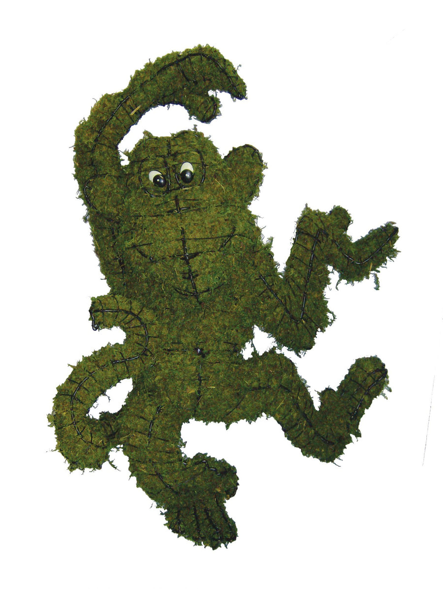 33 Inch Mossed Groovy Monkey Garden Topiary Frame