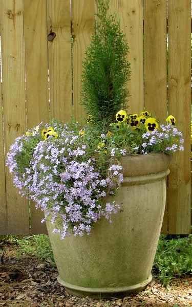 Large Chateau Fine Cast Planter (Handles Not Visible)