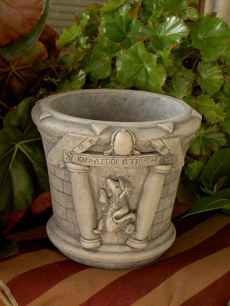 Natural Graywash Finish