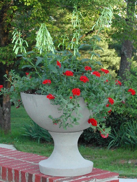  Jackson Urn Fine Cast Planter