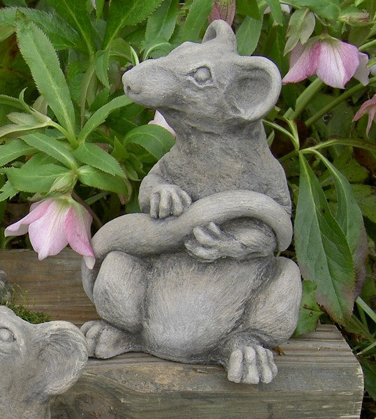 Sandstone Graywash Finish