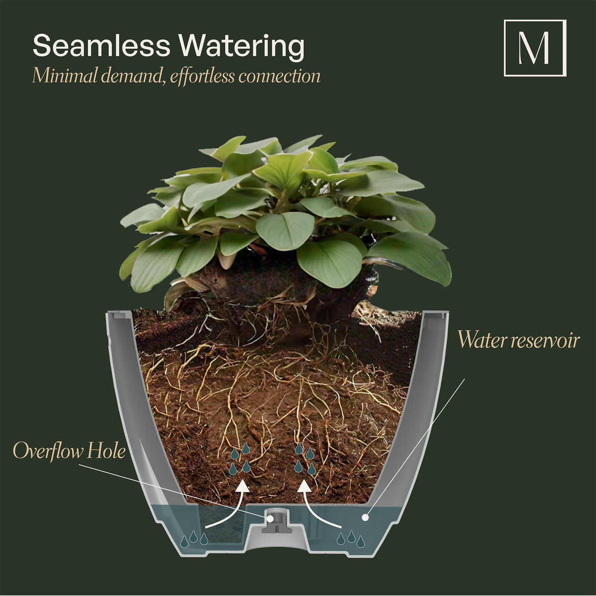 Caprio 14in Self-Watering Hanging Planter (2-Pack), view 5