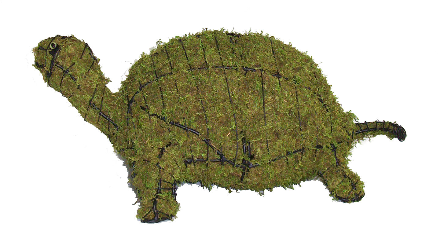 8 Inch Mossed Turtle Garden Topiary Frame