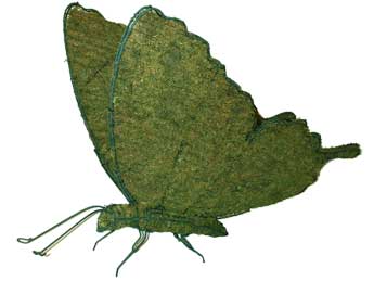 20 Inch Mossed Butterfly Topiary Garden Frame