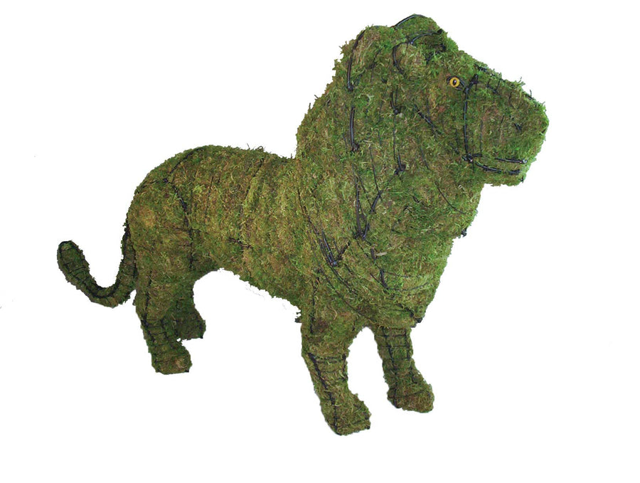 25 Inch Mossed Lion Garden Topiary Frame
