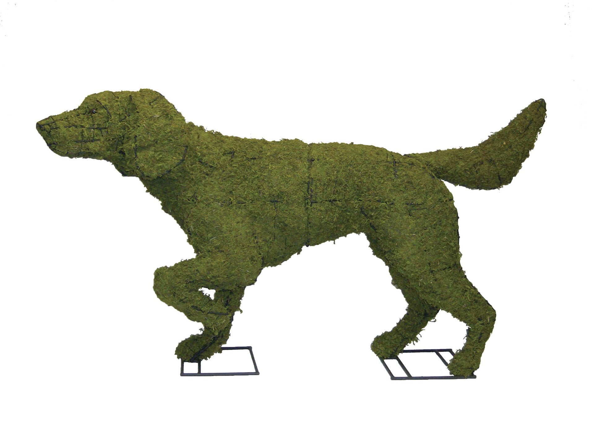 32 Inch Mossed Pointer Garden Topiary Frame